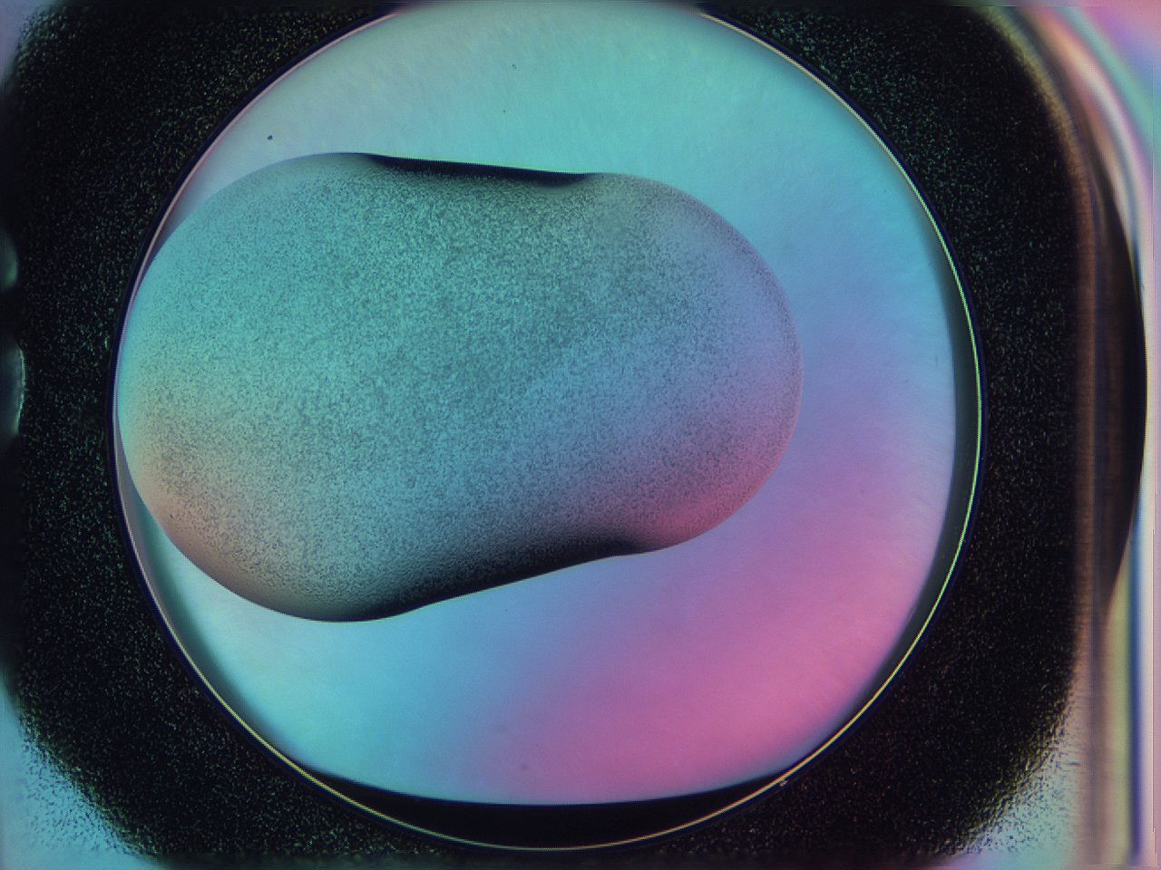 0587_G4_ImagerDefaults_3.jpg