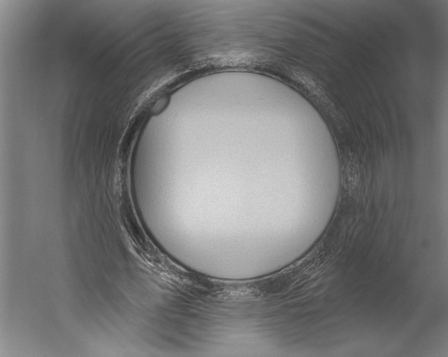 X0000055250583200509071618.png
