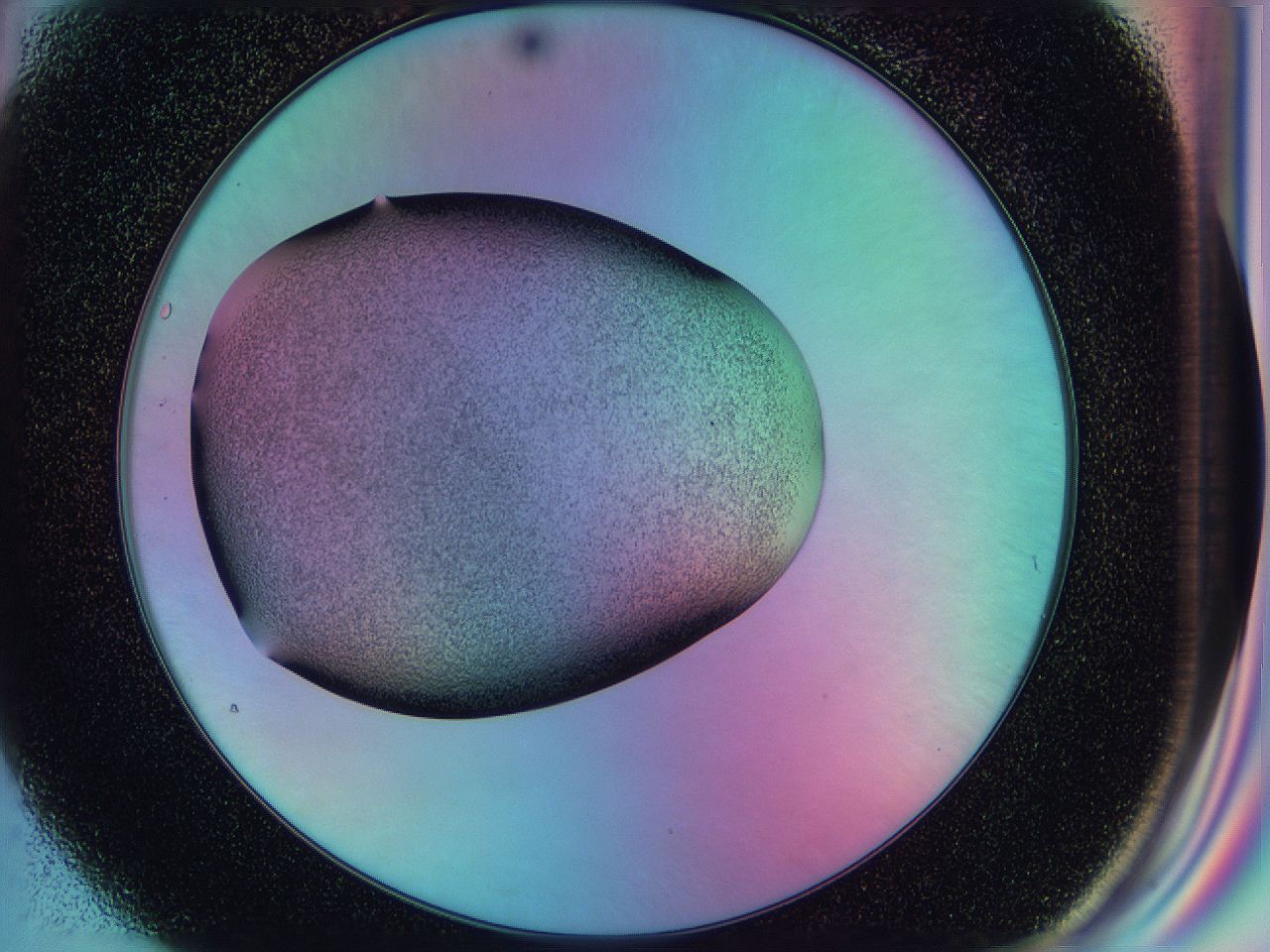 0587_G4_ImagerDefaults_2.jpg