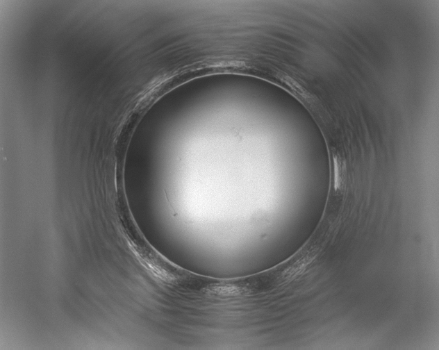 X0000055060253200508161653.png