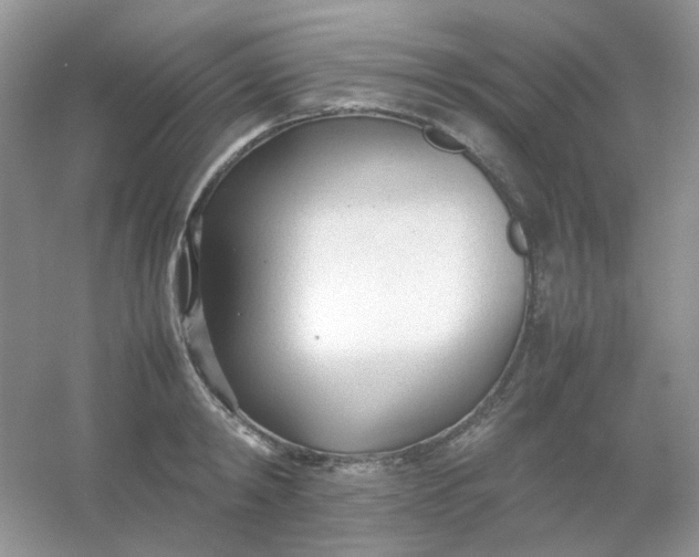 X0000054330798200508111917.png