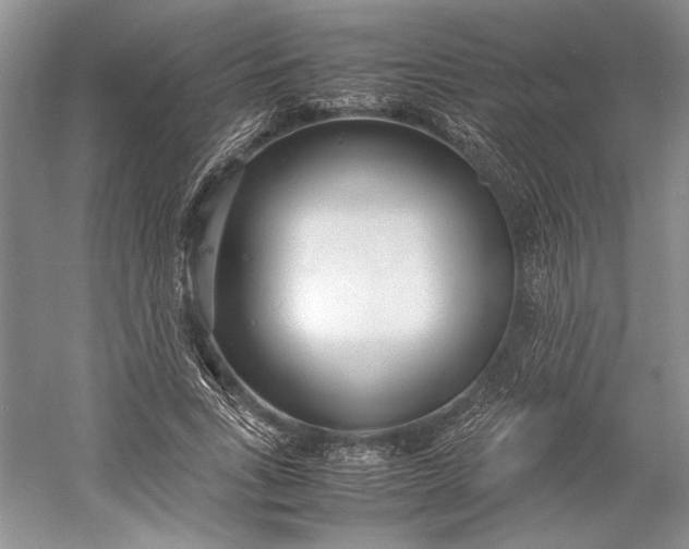 X0000055060735200508161645.png