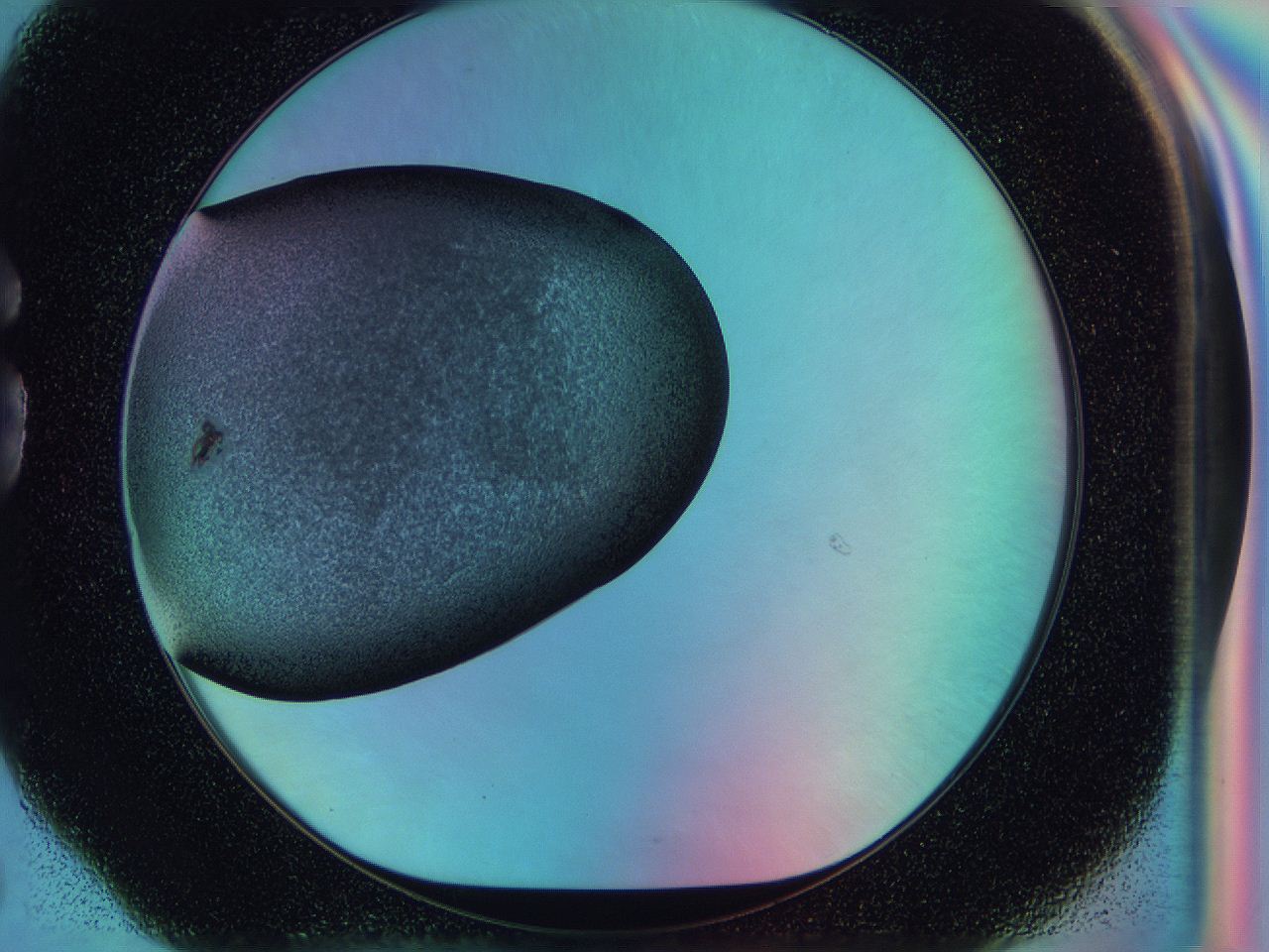 0587_G6_ImagerDefaults_3.jpg