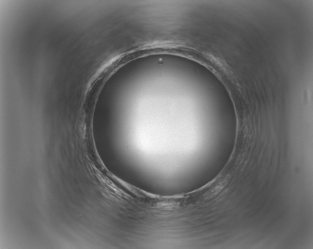 X0000055061406200508161633.png