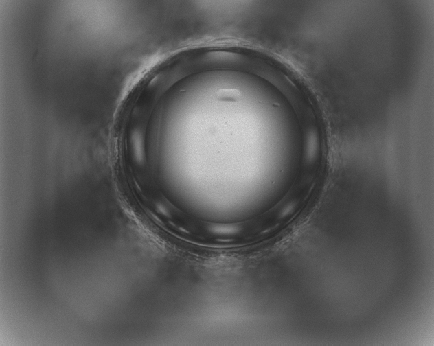 X0000038921414200409290953.png