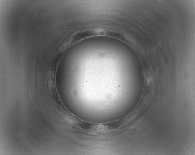 X0000054330421200508111924.png