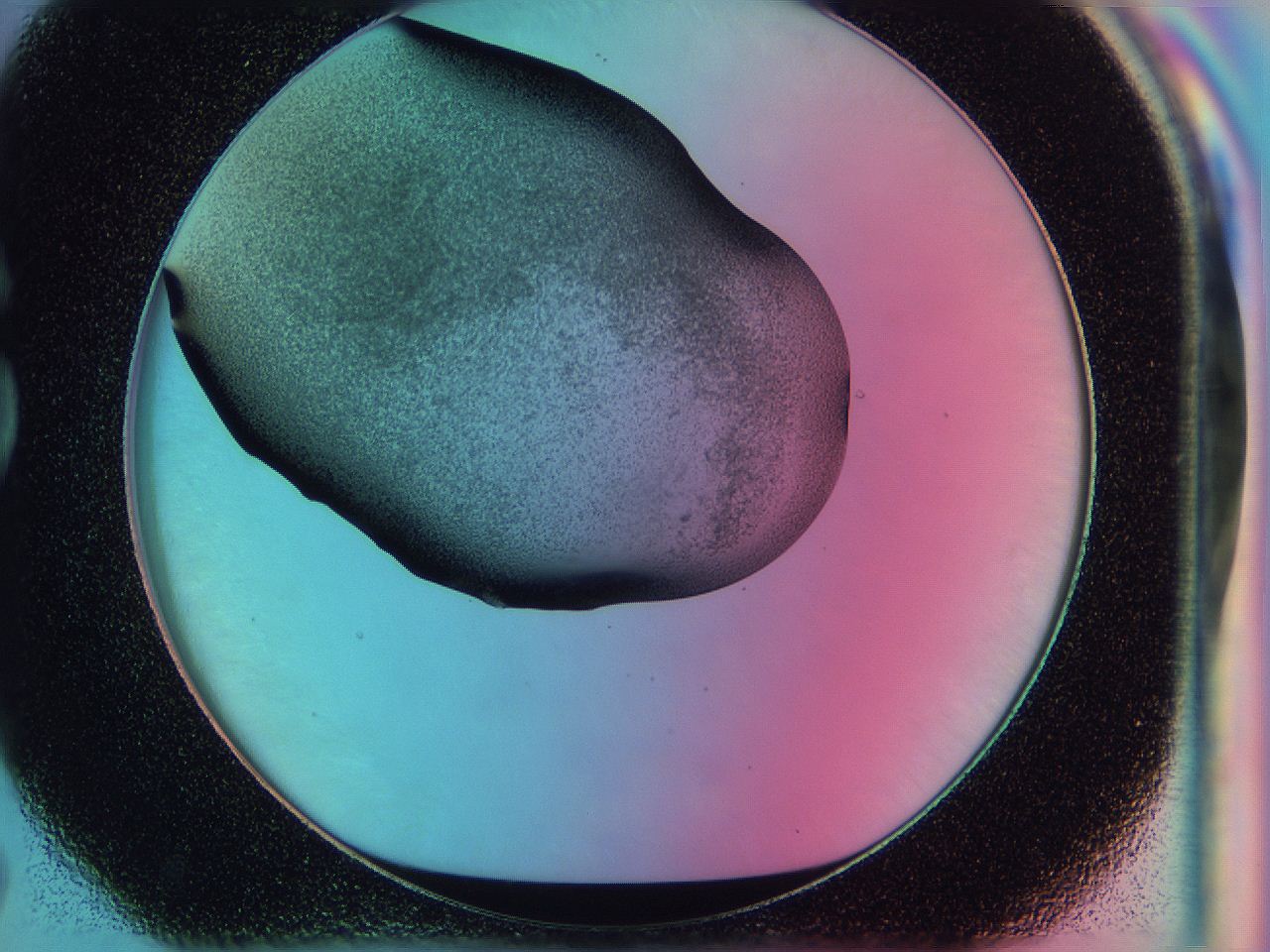 0587_G7_ImagerDefaults_3.jpg
