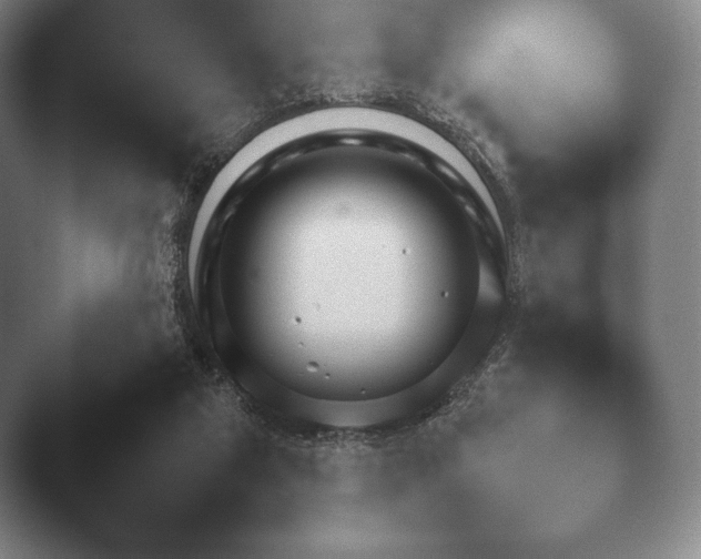 X0000045450113200502011707.png