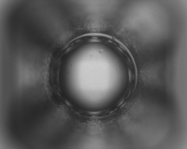 X0000047470690200503091559.png