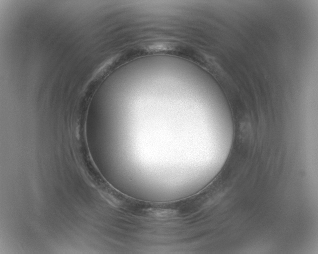 X0000054330539200508111921.png