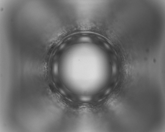 X0000052120620200507262053.png
