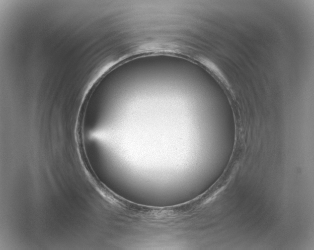 X0000054330893200508111916.png