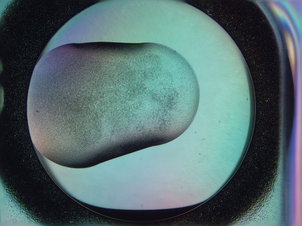 0587_G8_ImagerDefaults_3.jpg