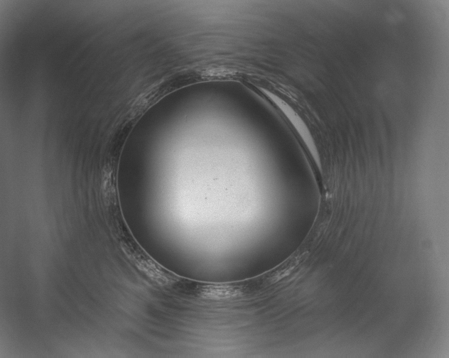 X0000055210521200508301325.png