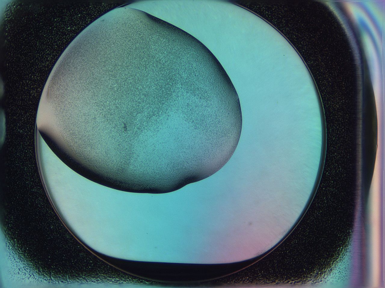 0587_G9_ImagerDefaults_3.jpg