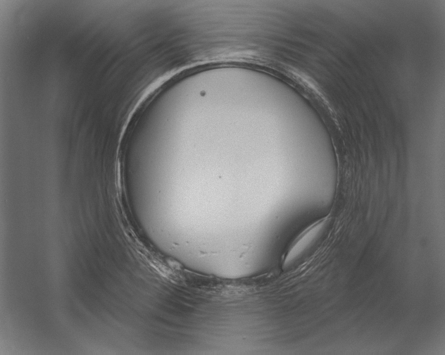 X0000055251324200509071605.png