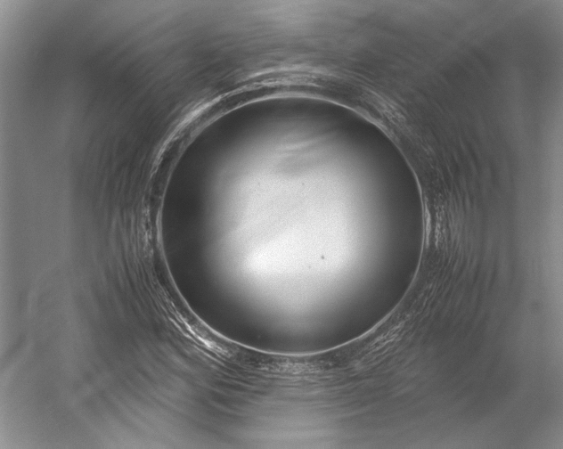 X0000055061164200508161638.png