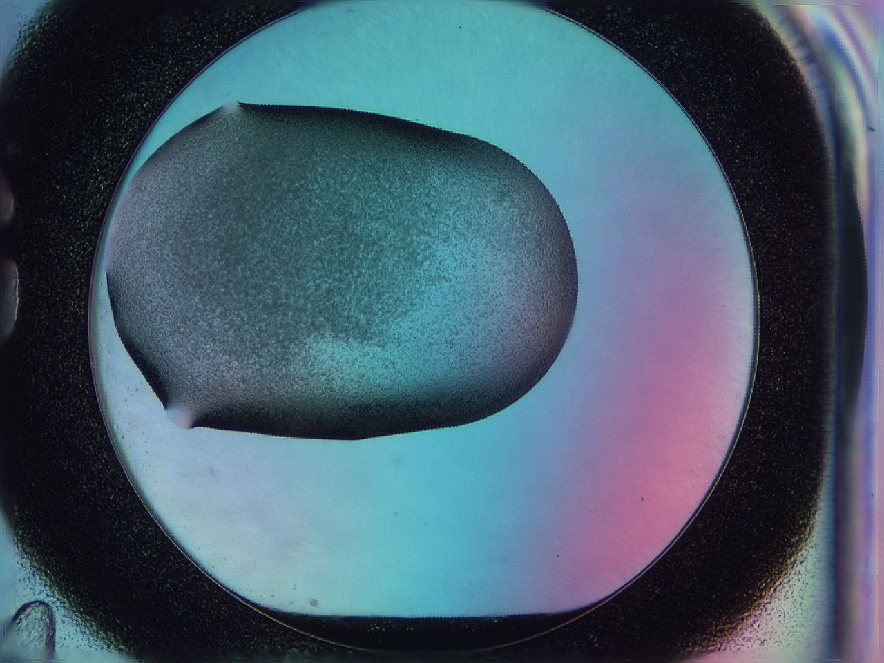 0587_G11_ImagerDefaults_3.jpg