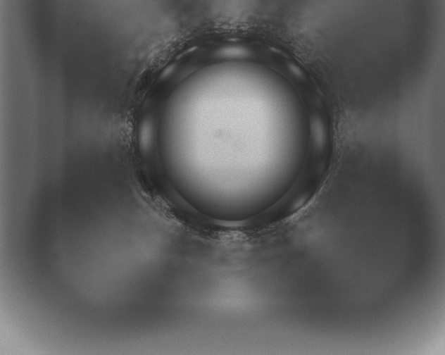 X0000038920183200409291015.png