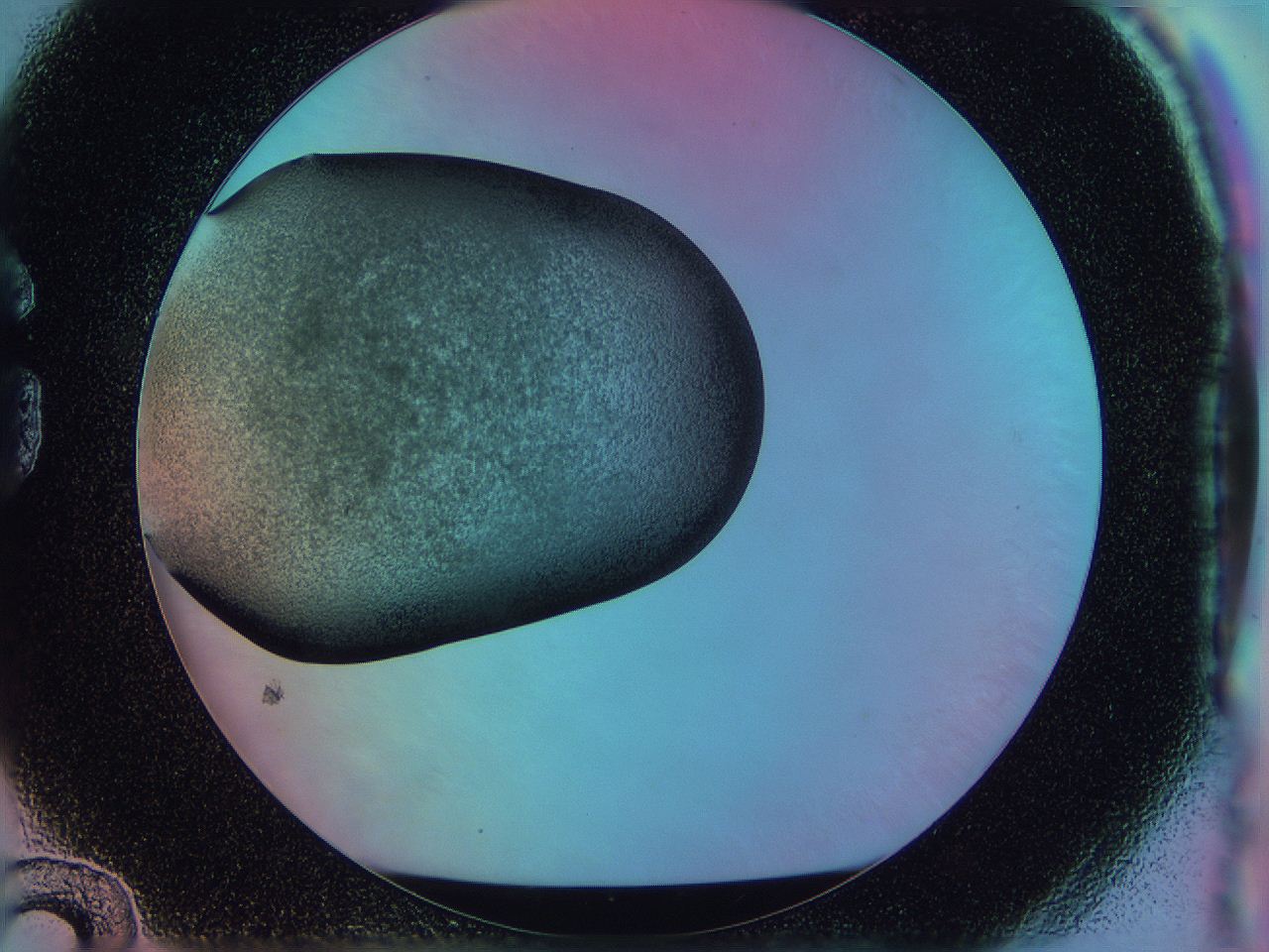 0587_G12_ImagerDefaults_3.jpg