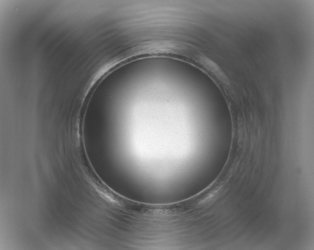 X0000054331226200508111910.png