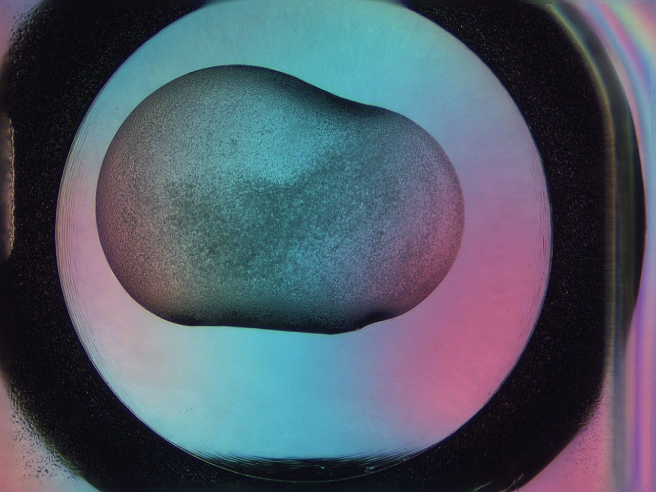 0587_H1_ImagerDefaults_3.jpg