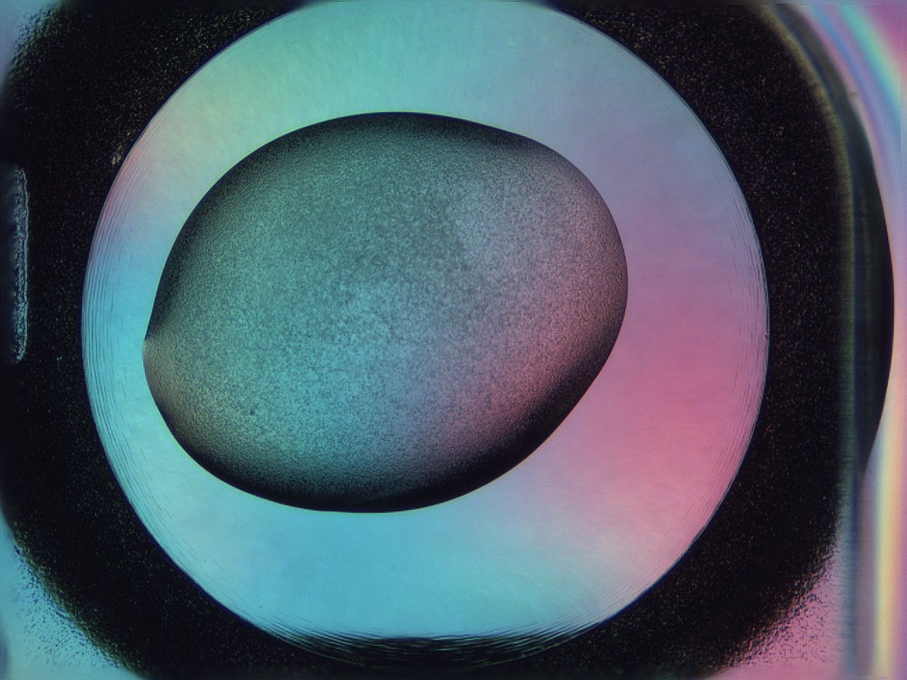 0587_H2_ImagerDefaults_3.jpg