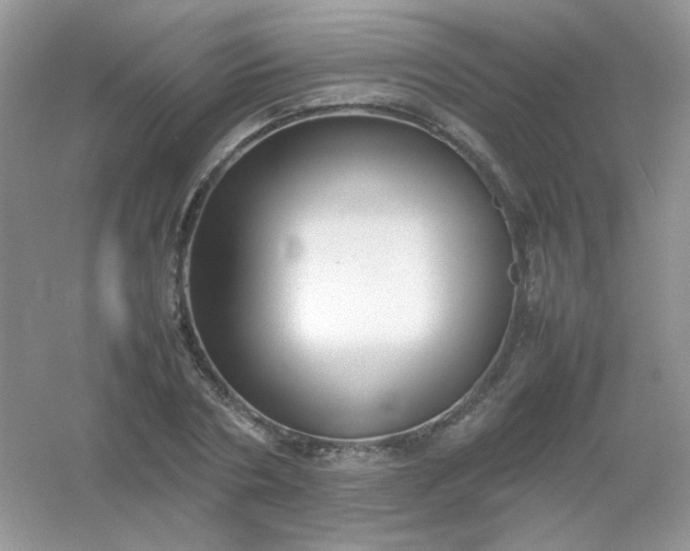X0000054330786200508111918.png