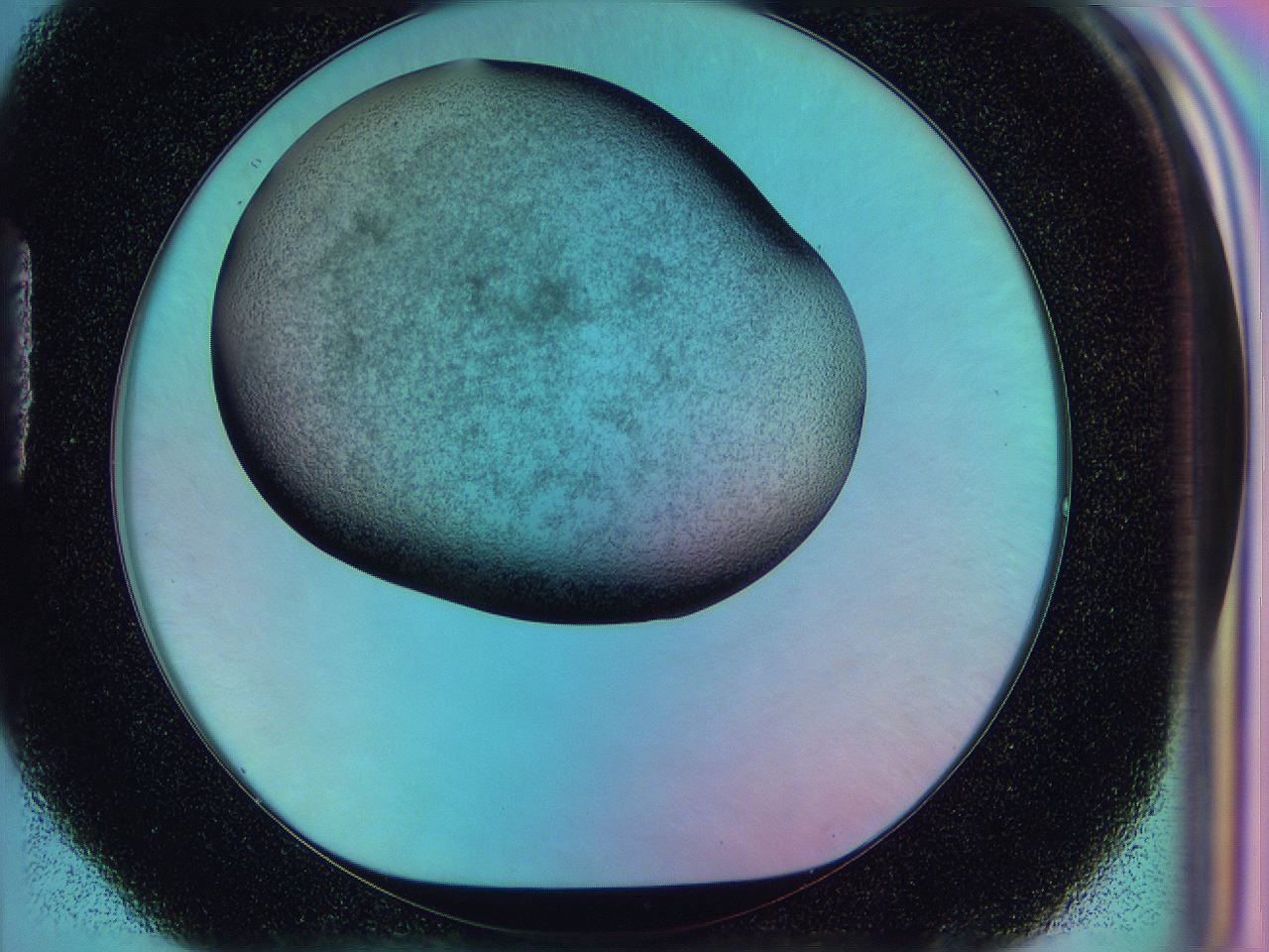 0587_H4_ImagerDefaults_3.jpg