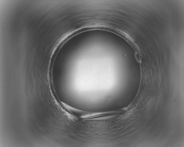 X0000055060943200508161642.png