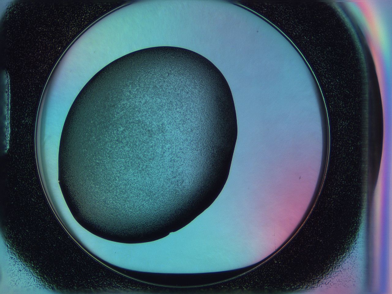 0587_H6_ImagerDefaults_3.jpg