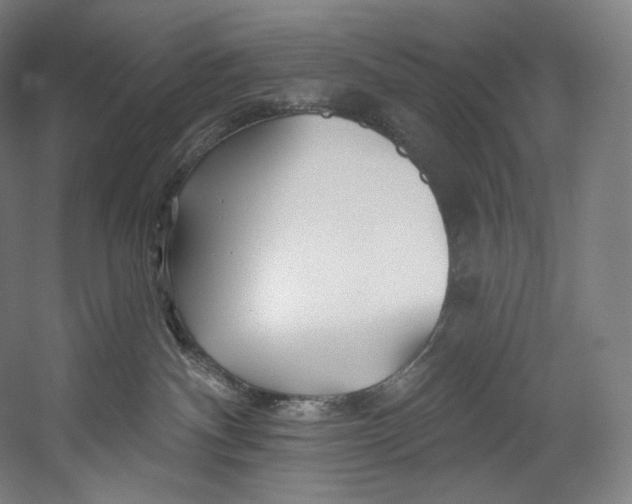 X0000055210140200508301331.png
