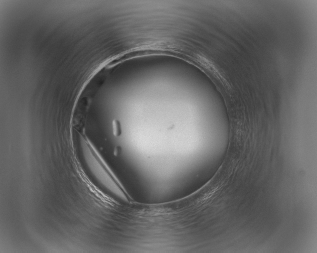 X0000055210884200508301319.png