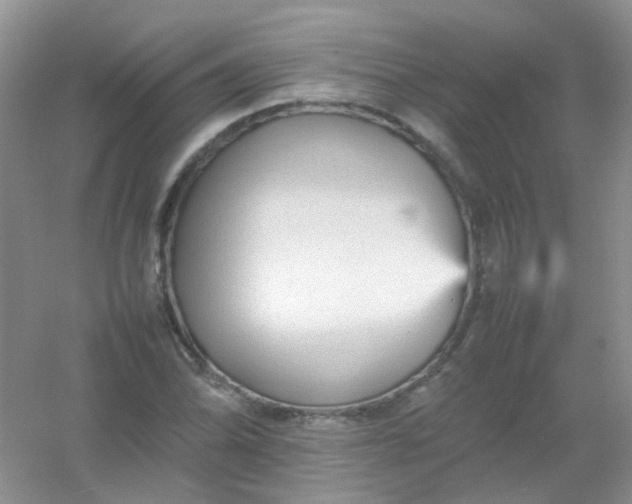 X0000054331070200508111913.png