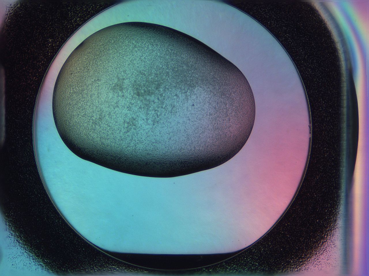 0587_H7_ImagerDefaults_3.jpg