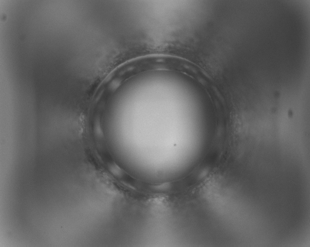 X0000050880275200507051515.png