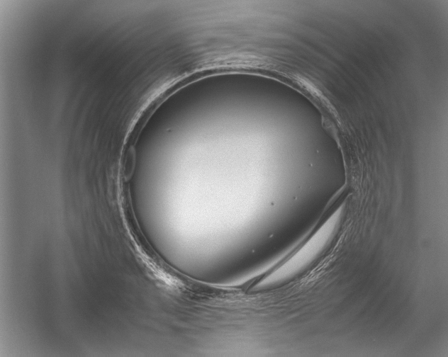 X0000055061085200508161639.png