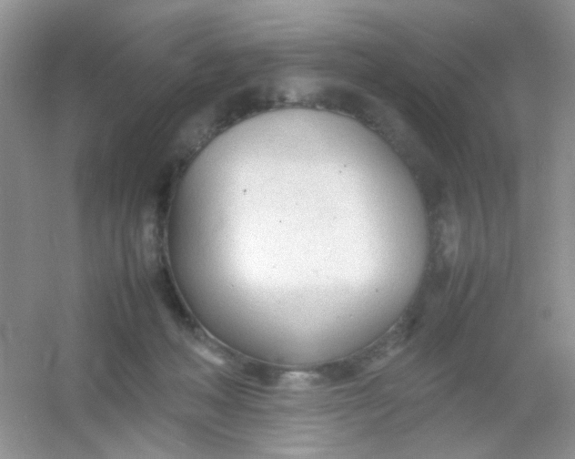 X0000054330222200508111927.png