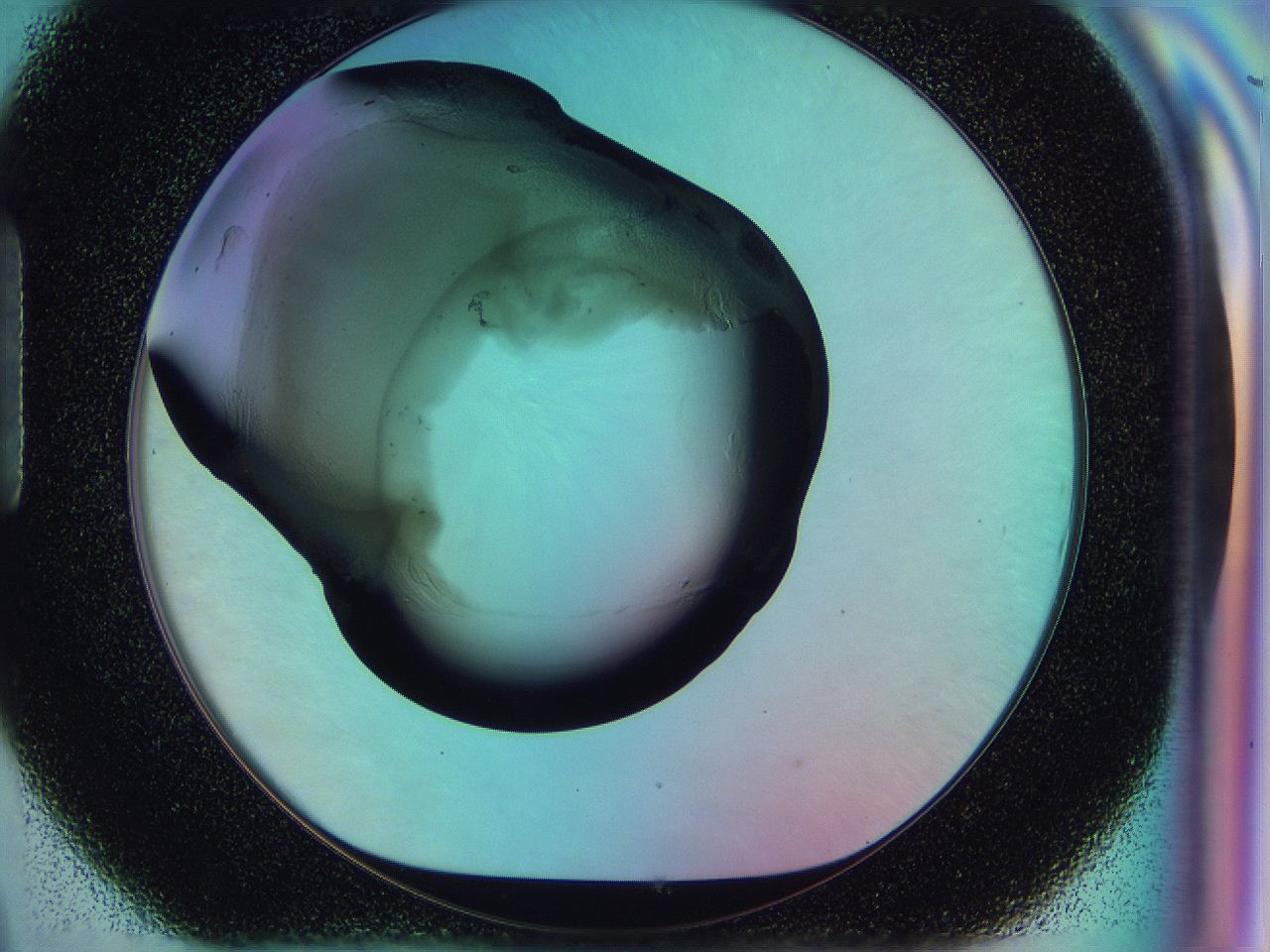 0587_H9_ImagerDefaults_3.jpg