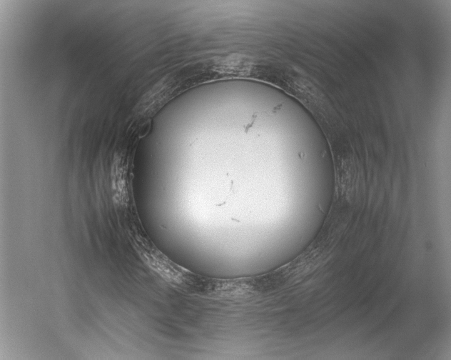 X0000055061154200508161638.png