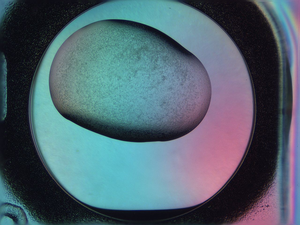 0587_H10_ImagerDefaults_3.jpg