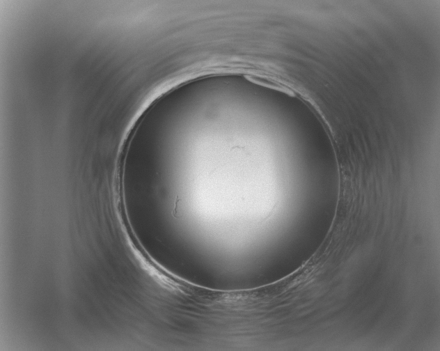 X0000055061531200508161632.png