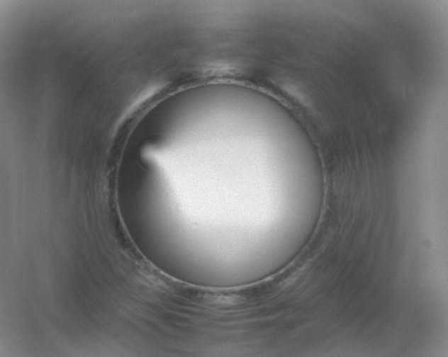 X0000054331309200508111908.png