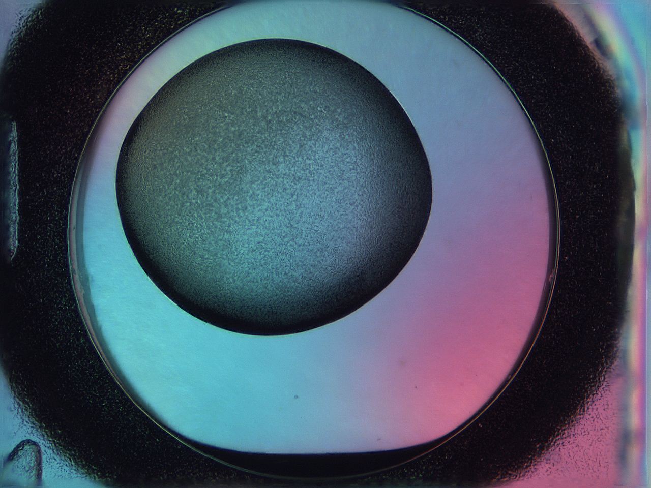 0587_H11_ImagerDefaults_3.jpg