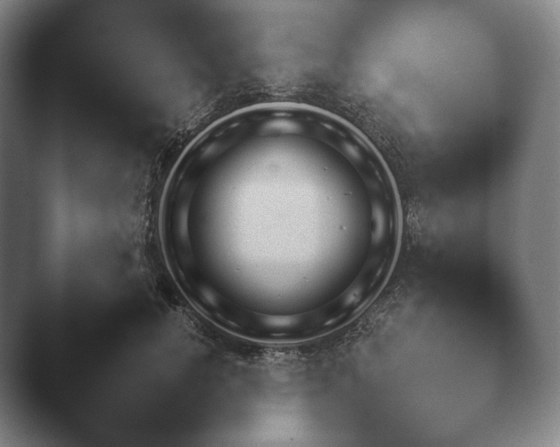 X0000041780752200411271520.png