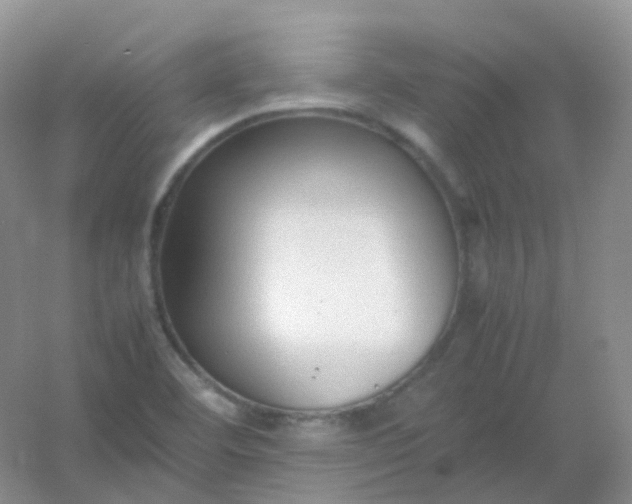 X0000054331460200508111906.png