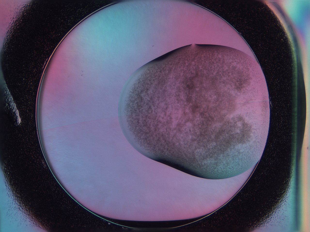 0588_A1_ImagerDefaults_3.jpg