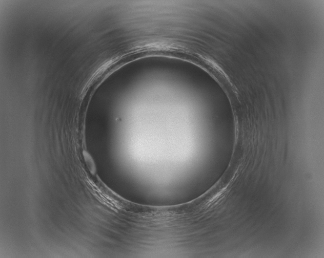 X0000055210930200508301318.png