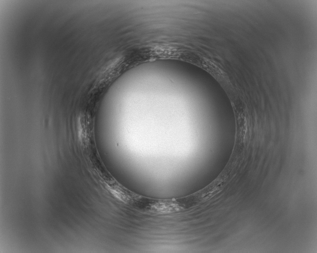 X0000055060712200508161646.png