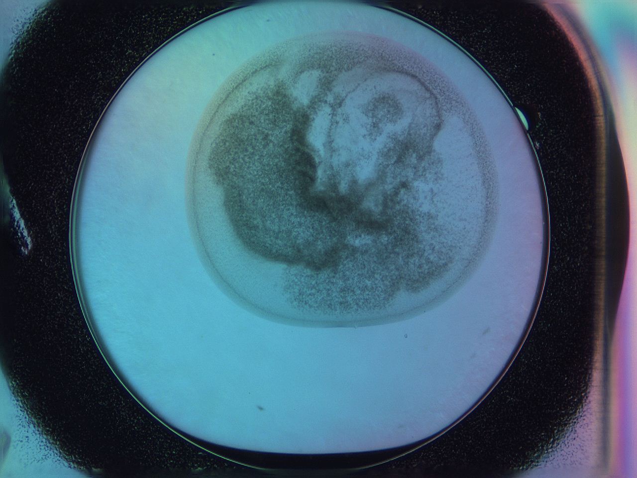 0588_A7_ImagerDefaults_3.jpg